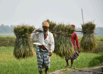 Crop Insurance Survey